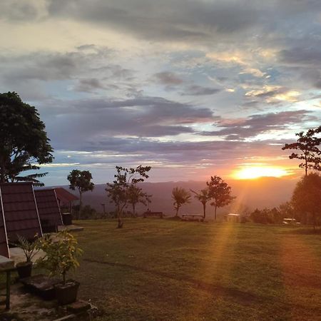 Bugo Camp Glamping & Natural Activity Munduk Dış mekan fotoğraf