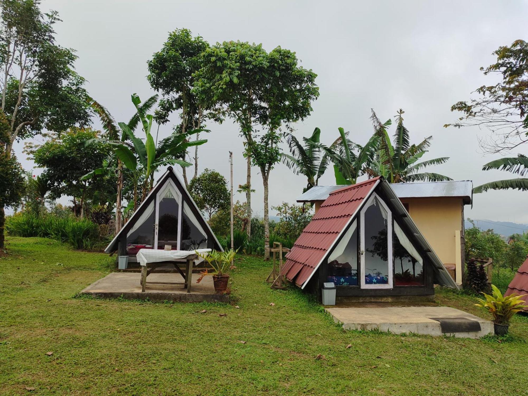 Bugo Camp Glamping & Natural Activity Munduk Dış mekan fotoğraf